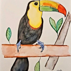 Watercolor Toucan Brush Pen Painting on Paper - Tucán