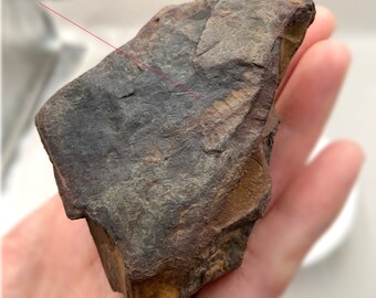 A Unique collection of Rocks Imprint Fossil Anthracite Lichen Covered Rock Rocks Split by Nature Iron Concretion Gift for rock collector