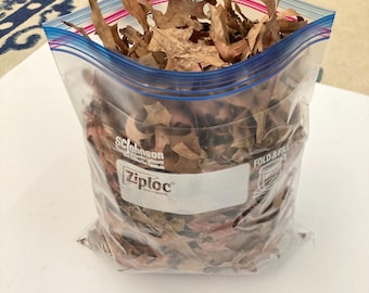 Clean Organic  Pin Oak Leaf Litter for Isopods, bioactive tanks
