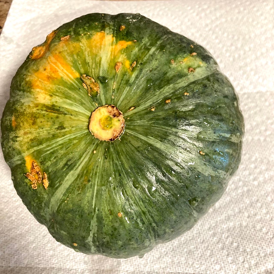 October 2025 New 15 Green Japanese Pumpkin Seeds Kabocha Squash NON GMO ...