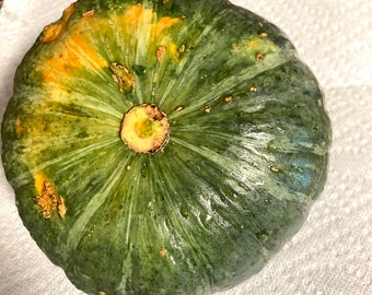 October 2025 New 15 Green Japanese Pumpkin seeds Kabocha Squash NON GMO