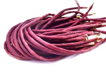 Organic Seeds Chinese Purple Yard Long Bean Seeds  Red Noodle Bean Seeds