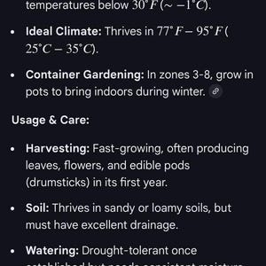 12 +2 NON GMO Moringa Oleifera Tree NEW Seeds, tested 1/31-2/5 2026 indoors, started to sprout in 3 days, grow your own Moringa trees afbeelding 9