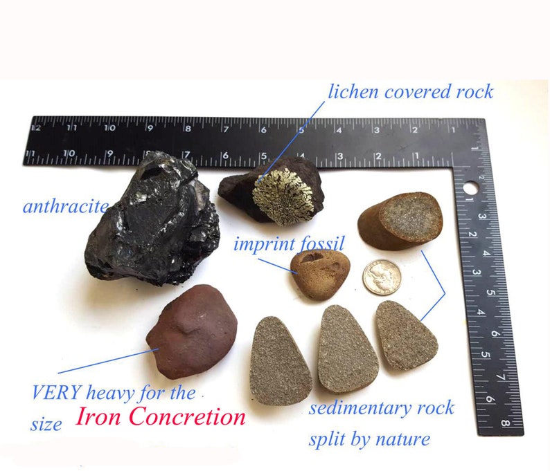 A Unique collection of Rocks Imprint Fossil Anthracite Lichen Covered Rock Rocks Split by Nature Iron Concretion Gift for rock collector