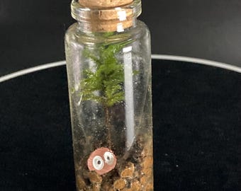May include: A small glass bottle with a cork stopper, containing a miniature green plant, brown rocks, and a small pink object with two white eyes.