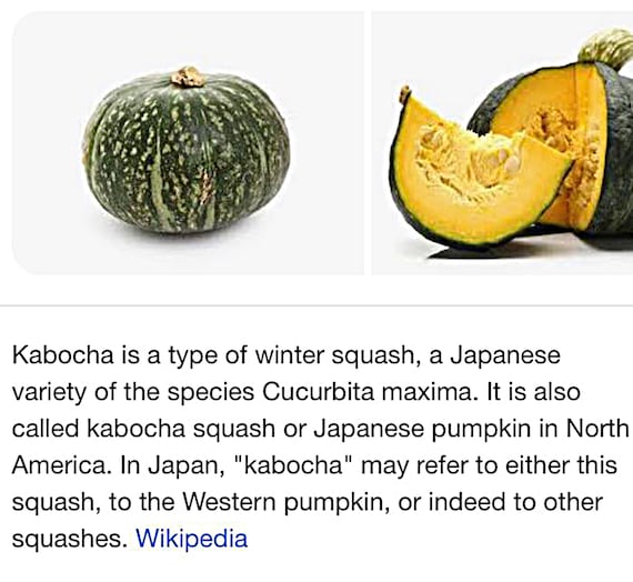 Butternut squash - Wikipedia