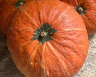 October 2025 New 15 Orange Skin Japanese Pumpkin seeds Kabocha Squash NON GMO