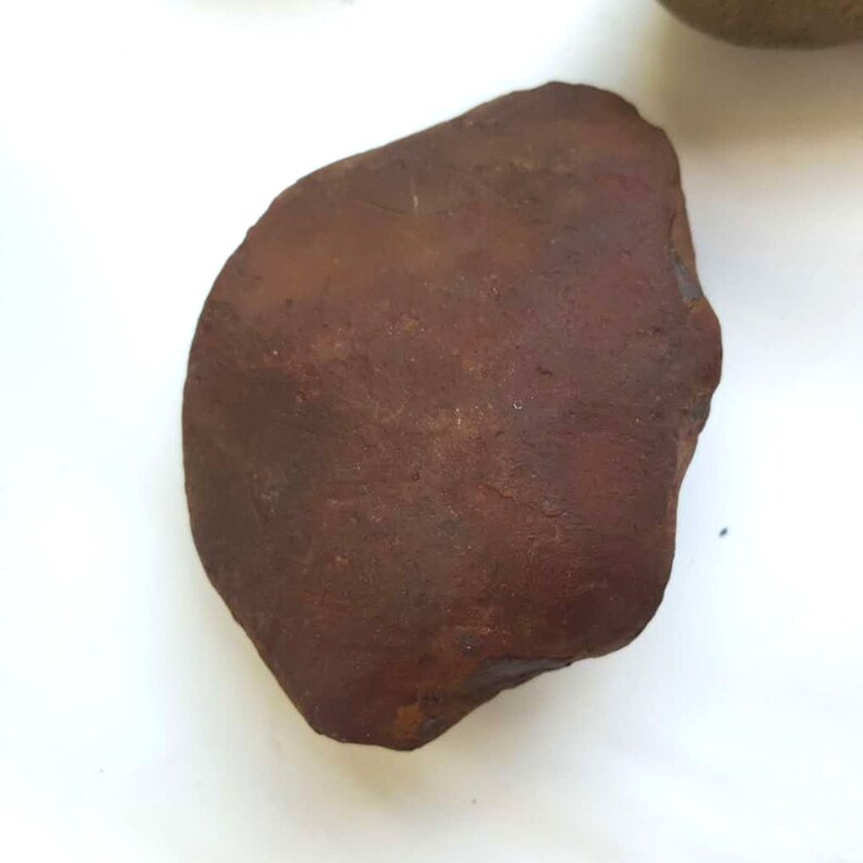 A Unique collection of Rocks Imprint Fossil Anthracite Lichen Covered Rock Rocks Split by Nature Iron Concretion Gift for rock collector