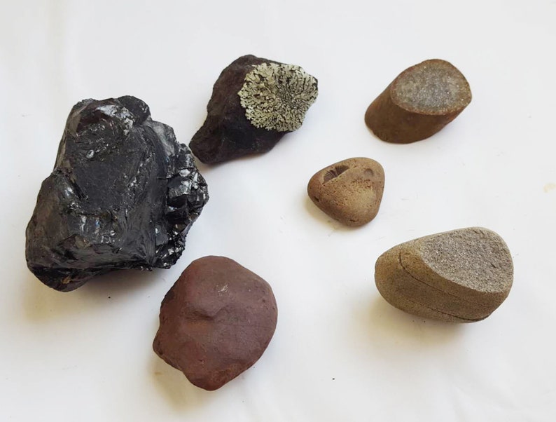 A Unique collection of Rocks Imprint Fossil Anthracite Lichen Covered Rock Rocks Split by Nature Iron Concretion Gift for rock collector