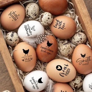 Tampon d'oeufs personnalisé avec le nom de la ferme – Tampon en caoutchouc d'oeufs frais pour des oeufs de poule, de canard ou de caille | Tampon logo Homestead, cadeau poulet de basse-cour