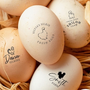 Tampon d'oeufs frais Silkie Egg Farm avec poignée, tampon d'oeufs Silkie personnalisé