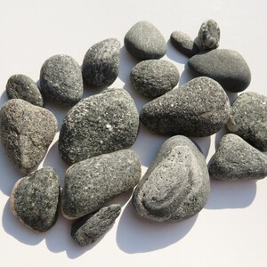 Sparkly Lake Michigan Rocks, Pyrite, Biotite Minerals, Dark Grey Rocks, Michigan Stones