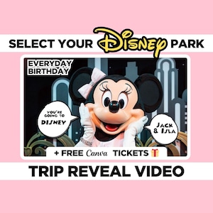 Viaggio a sorpresa personalizzato Rivela messaggio video Film Topo Bambini Famiglia Mondo magico Terra Parco a tema Orlando Florida California Parigi