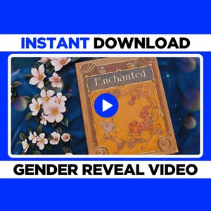 Annuncio del film sulla rivelazione del sesso del bambino alla famiglia, è un video sulla rivelazione del sesso del bambino per sorprendere, idea magica per rivelare il sesso del bambino Coriandoli unici