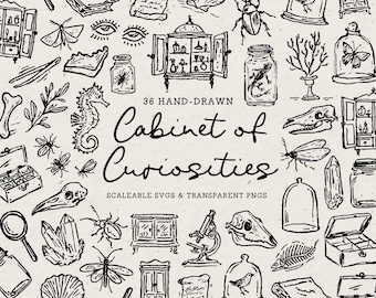 Hand Drawn Curiosity Cabinet Doodle Bundle, Gothic Line Art Illustrations (SVG & PNG Download)