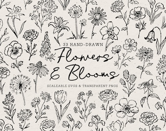 Hand Drawn Flower Doodle Bundle, Floral Line Art Illustrations (SVG & PNG Download)