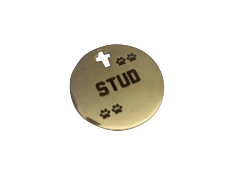 Cute Dog Charm Puppy Charm Funny Dog Tag Pet Supplies Cat Charm Stainless Steel Pet Charm Funny Saying Charms STUD Dog Collar Charm