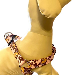 May include: A pink and brown dog harness with a cartoon bear print. The harness has a metal D-ring for leash attachment.
