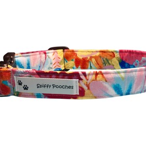 May include: A pink, yellow, and blue floral dog collar with a silver buckle and a white label that reads "Spiffy Pooches" with two paw prints.