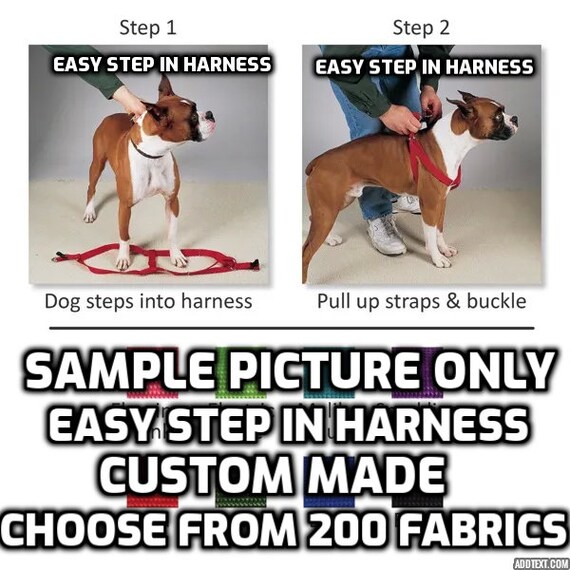 two step harness