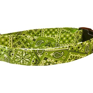 Lime Western Bandana Dog Puppy Cat Kitten Collars, Dog Leash, Custom Made, Big Dog Collars, Accessories