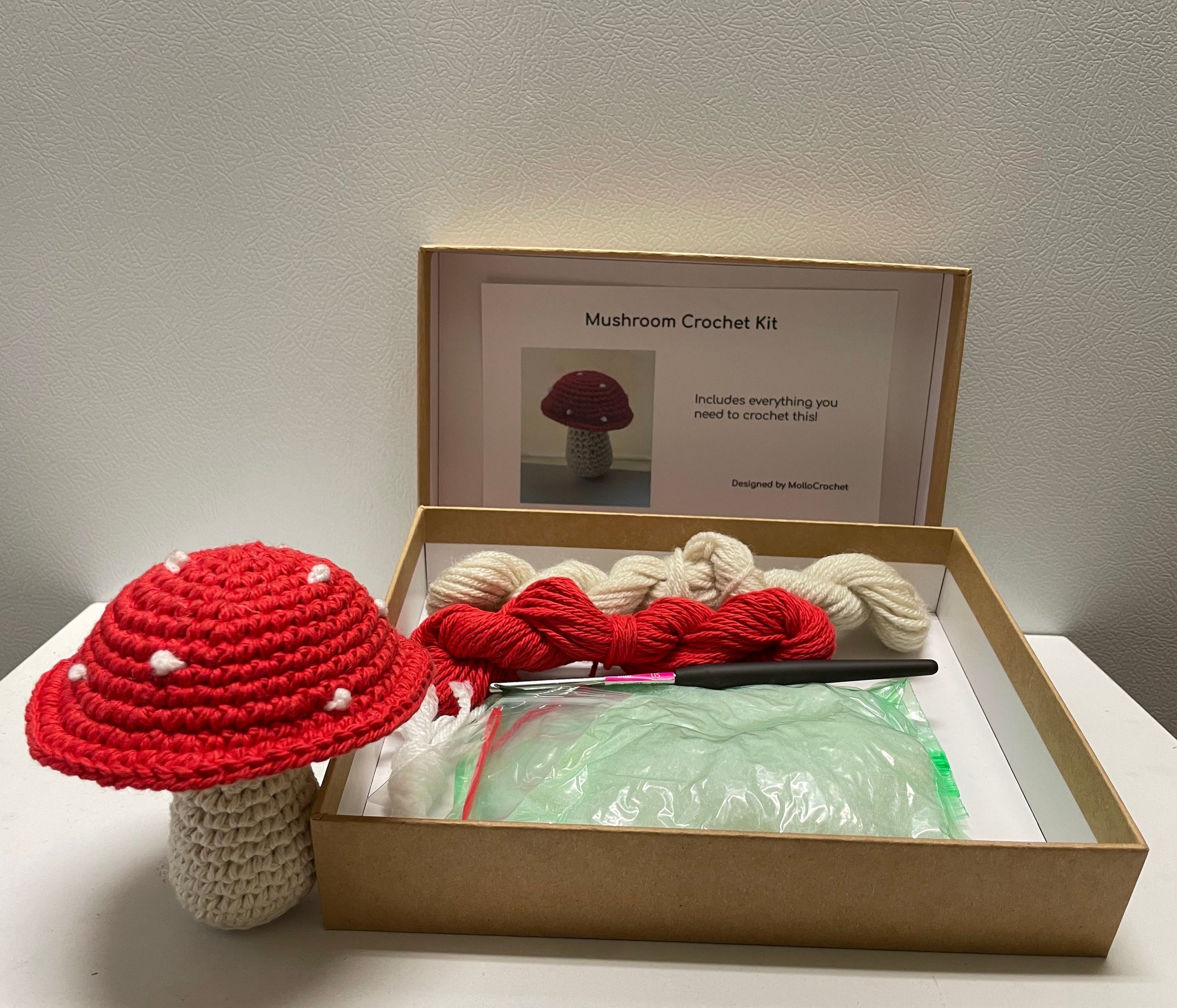 Mushroom Crochet DIY Kit 