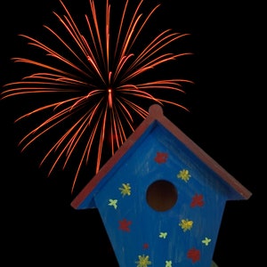 Celebrate Wooden Hand Painted Birdhouse Decorative Birdhouse for Outdoors Best Wooden Bird Lover Gift