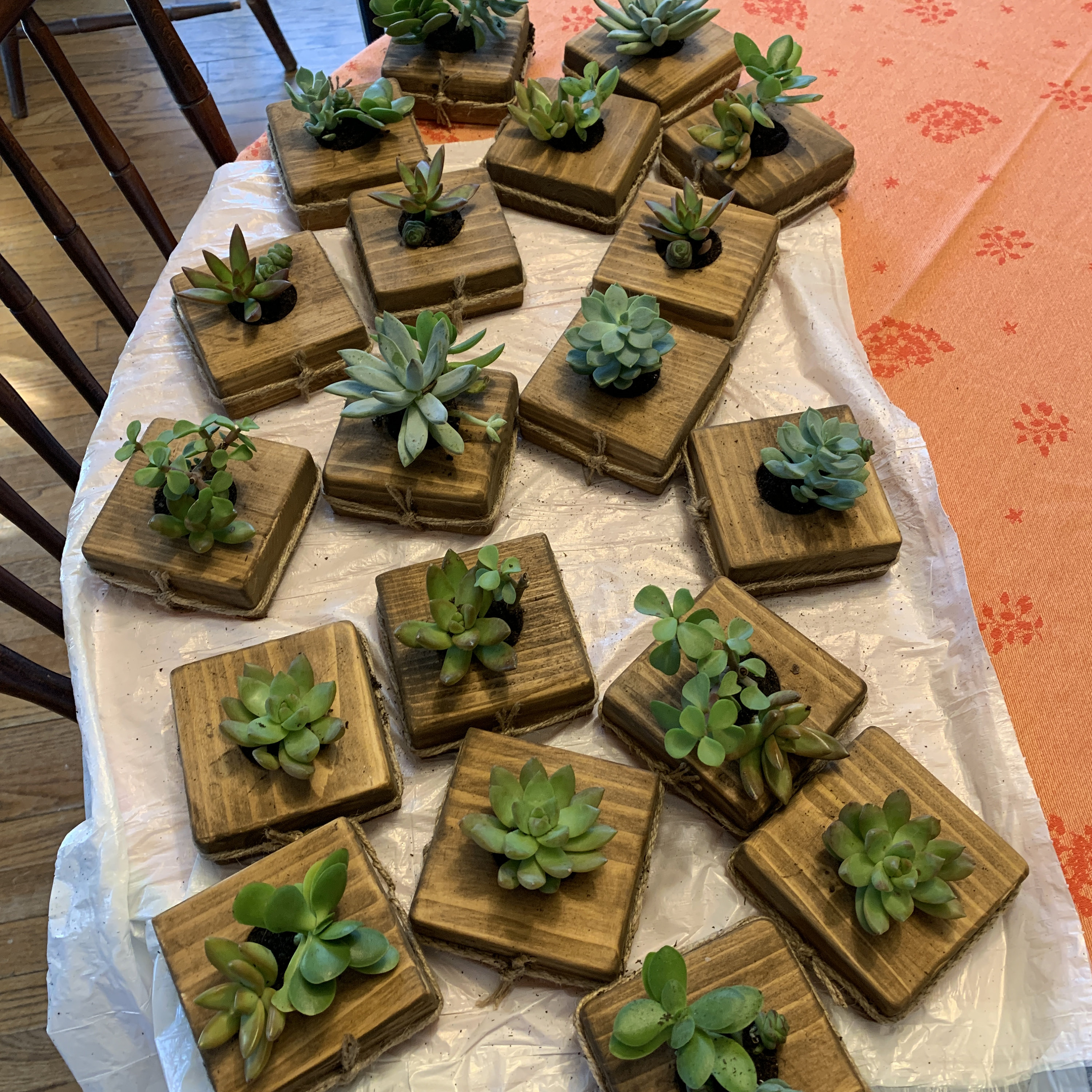 Handmade Rustic Wood Succulent Planter