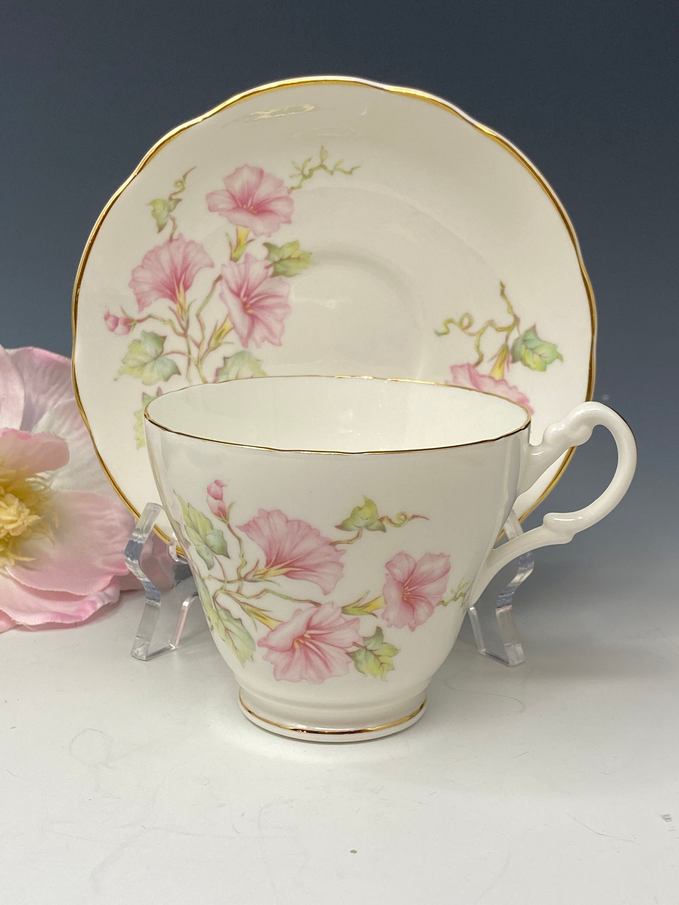 Royal Stuart Pink Morning Glories Tea Cups and Saucers - Etsy