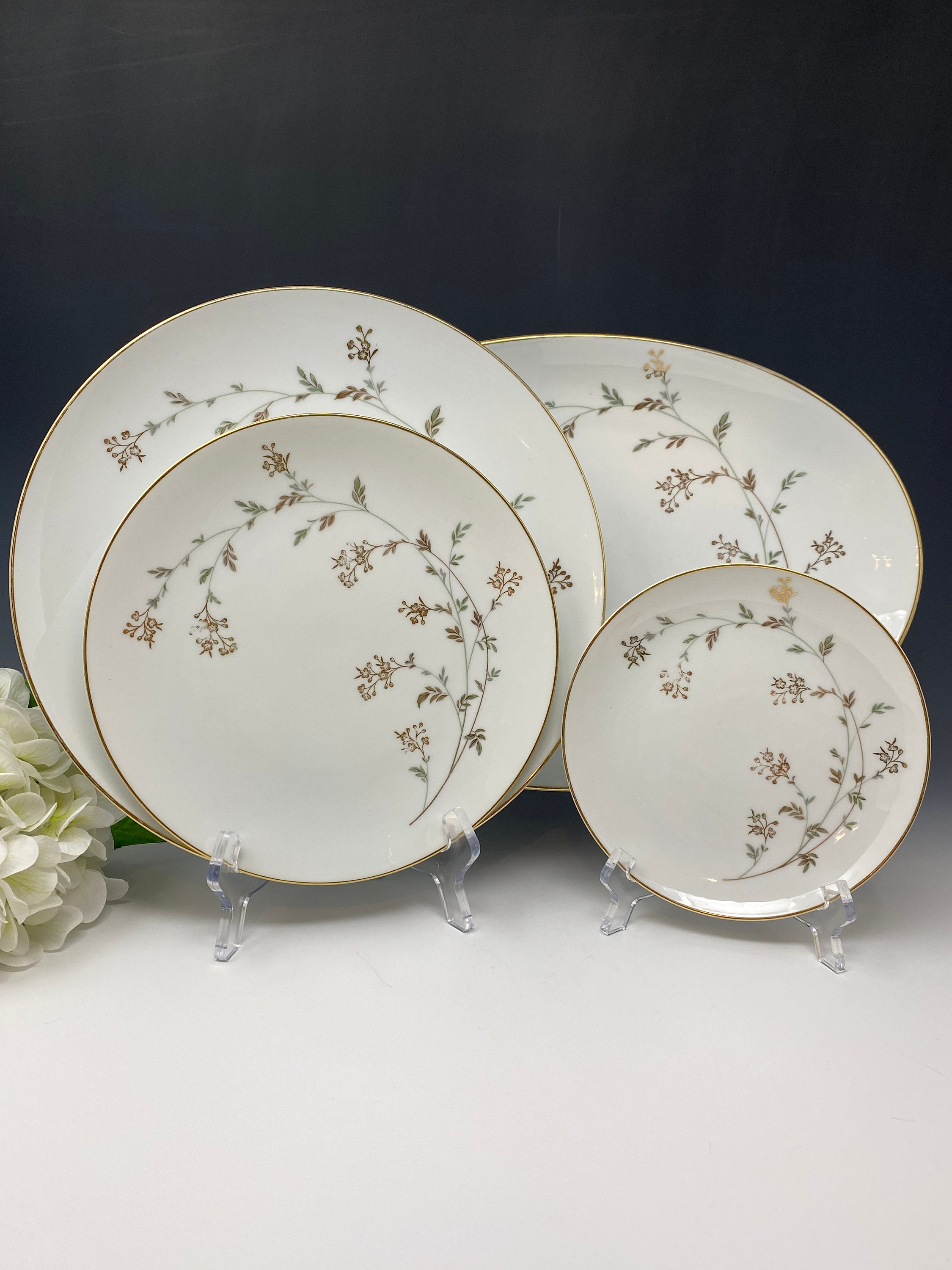 Noritakeアケビア　21センチ4枚 il_fullxfull.3922291090_2wld.jpg