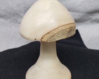 Unique wood mushroom