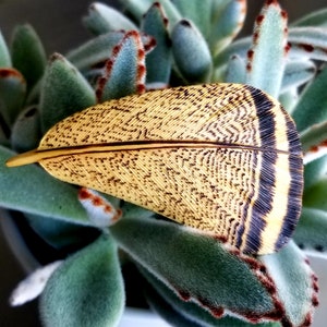 Artisan Wood Duck Feather Brooch