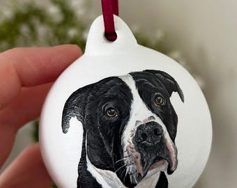Personalised Hand painted Christmas Pet Bauble