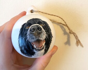 Personalised Hand painted Christmas Pet Bauble