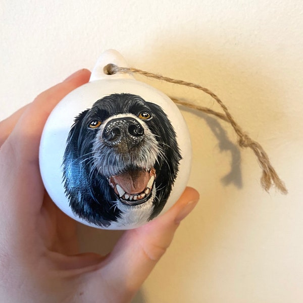 Personalised Hand painted Christmas Pet Bauble