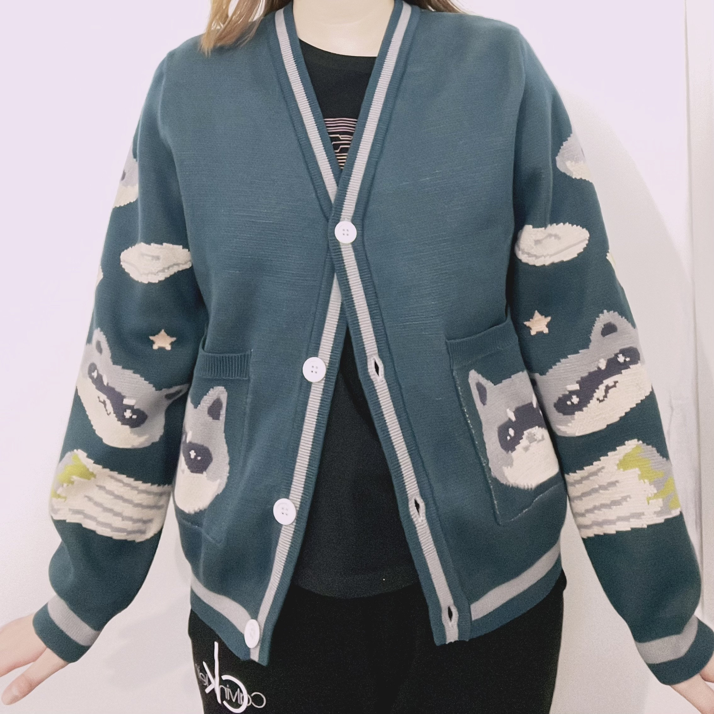 Raccoon Trash Can Cardigan - Etsy Canada