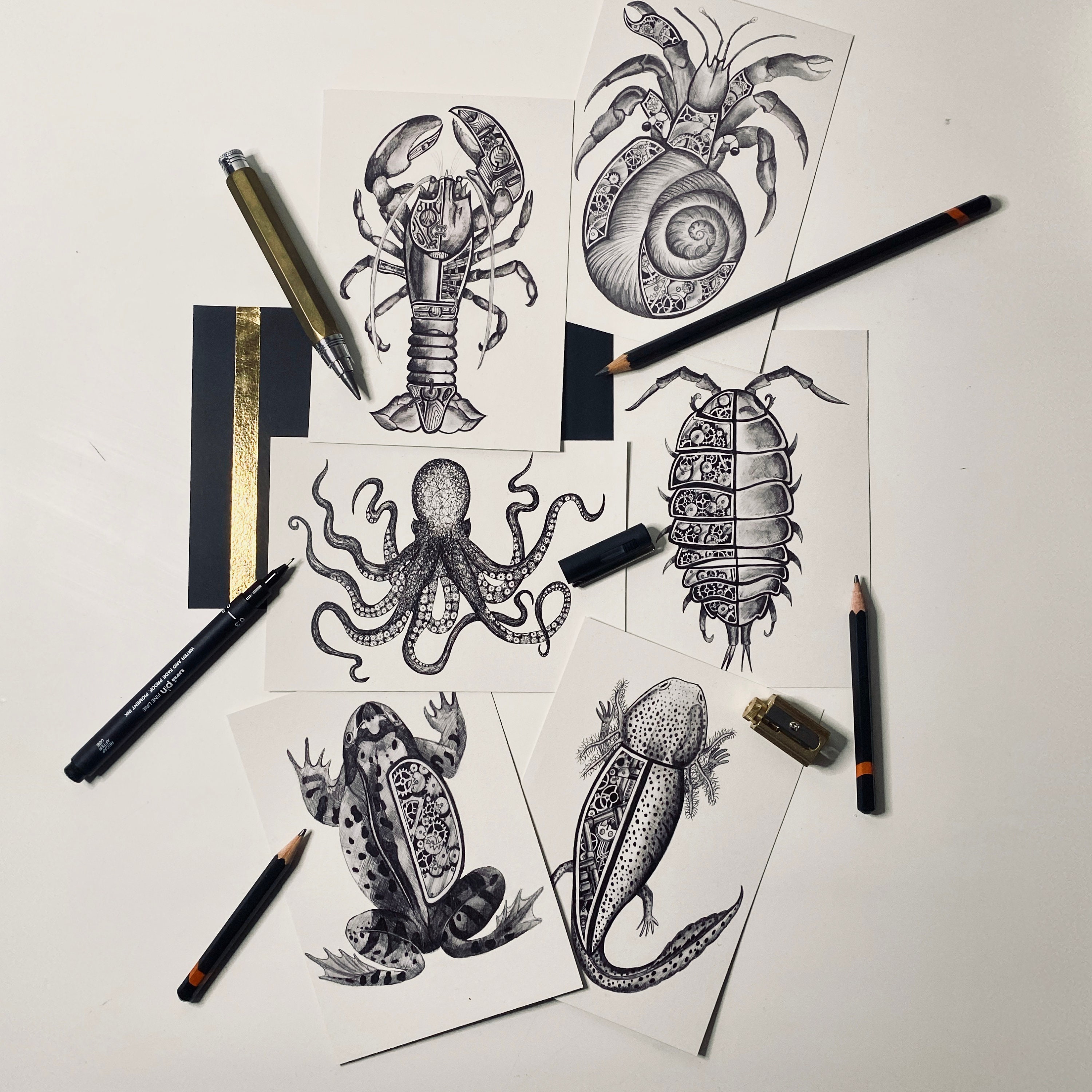 Steampunk Pencil Drawing Postcard Animal Scientific A6 | Etsy