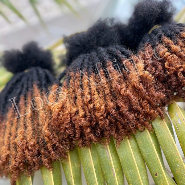 Curly Human Hair Loc Extensions Bulk - Etsy