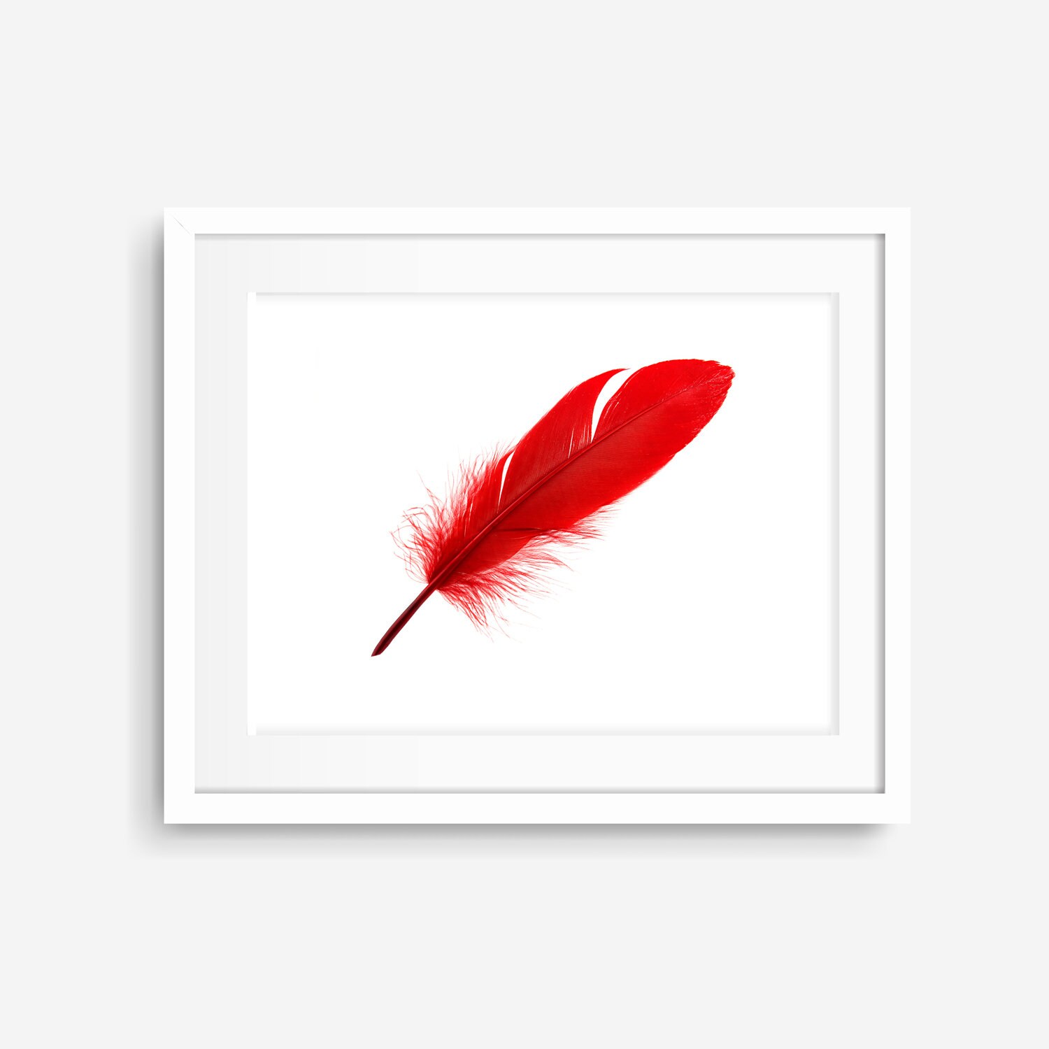 Red Feather Art Print / Poster Gift Idea Feature Wall Etsy France