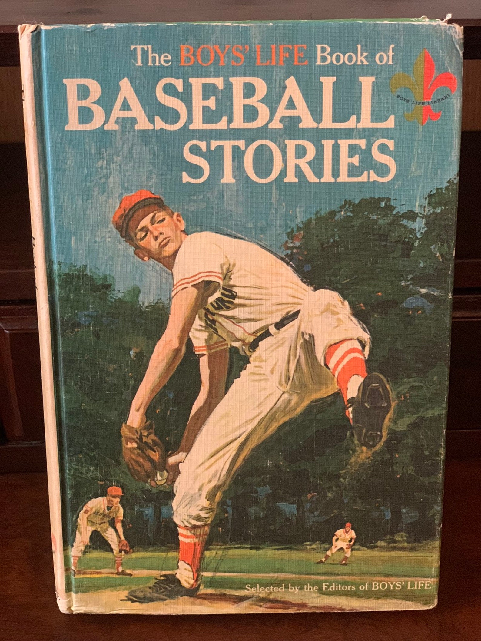 The Boys' Life Book of Baseball Stories / First Edition Etsy