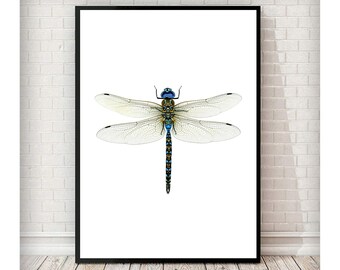 Transfers shower gift,Gift Tags download printable art image Nursery Quote art Vintage Dragonfly Wall Art