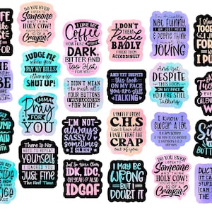 20 Snarky Quote Stickers  Bundle Funny Sarcasm Sarcastic Colorful Laptop Phone tumbler Sticker Pack Waterproof Christmas Stocking Stuffer