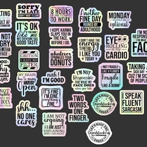 15 Stickers Funny Sarcastic Quote - Bundle Pack - Sarcasm Snarky ~ tumbler phone scrapbook laptop - Waterproof