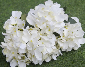 Hydrangeas Etsy
