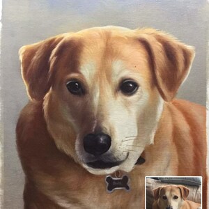 Custom Oil Portrait-Pet Portrait-Hand Painted Portrait Painting-Creative Pet Painting-Original Oil Painting from Photo