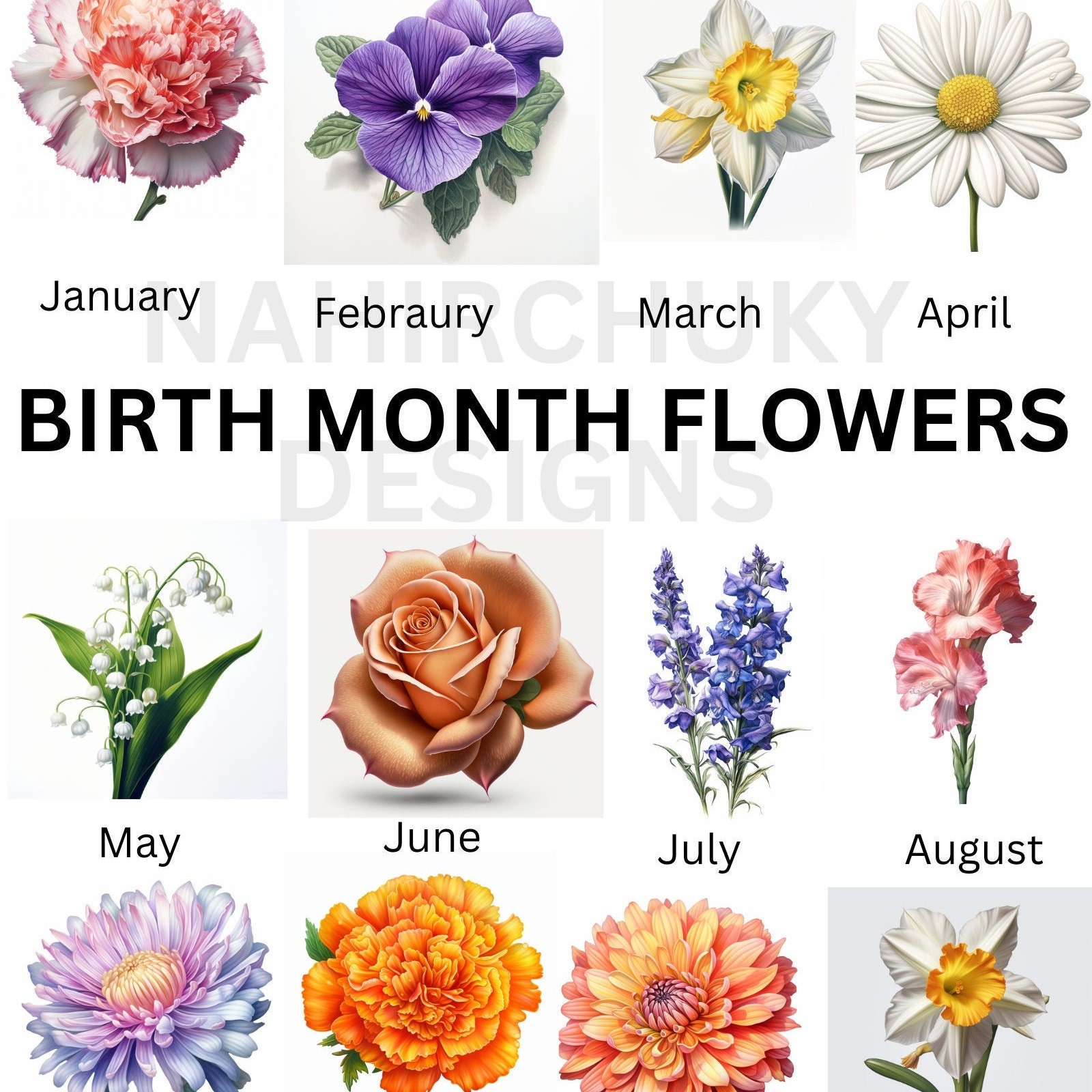 Birth Month Flowers Clipart, Floral PNG Bundle, DIY Birth Month Flower