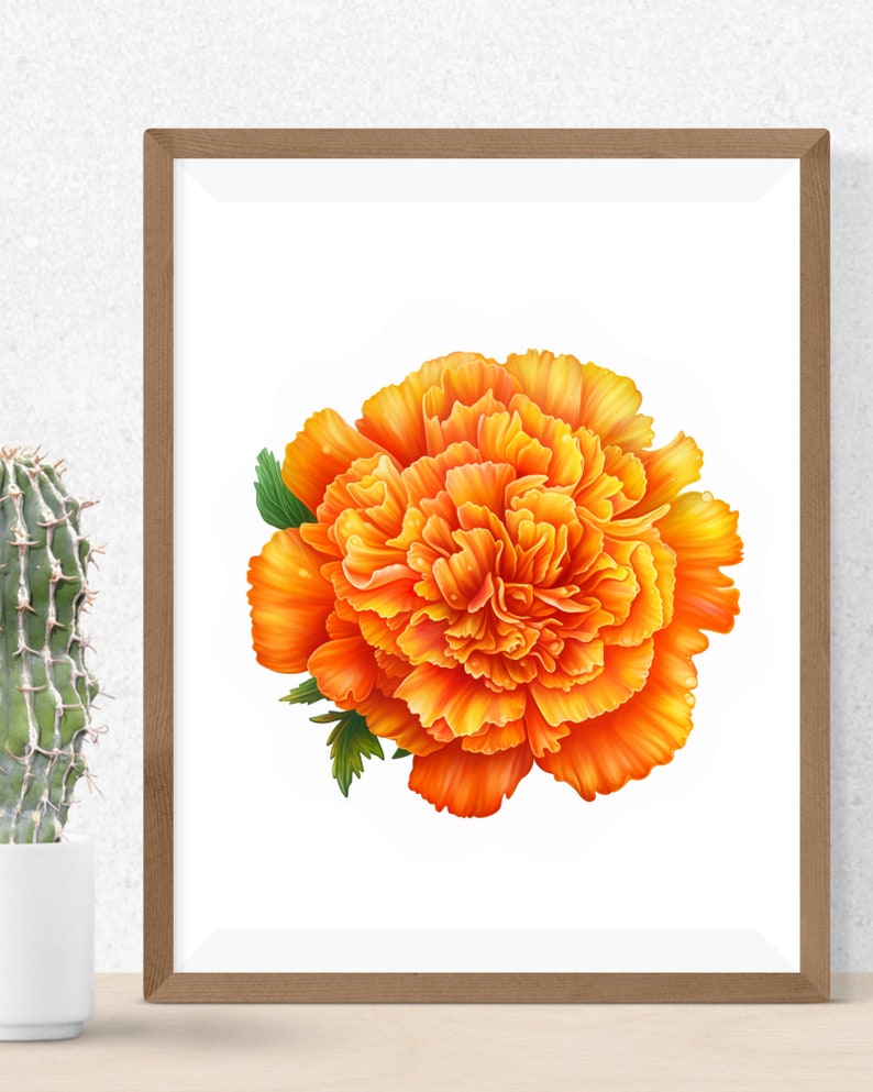 Birth Month Flowers Clipart, Floral PNG Bundle, DIY Birth Month Flower