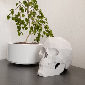 Pode incluir: Uma escultura de caveira de origami geométrico branco sobre uma superfície preta ao lado de um vaso branco com uma pequena planta verde.