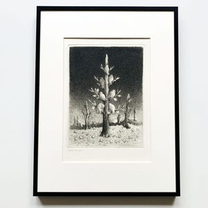 May include: A black and white etching of a tree with birds perched on its branches. The tree is in a field with other trees and a dark sky in the background.