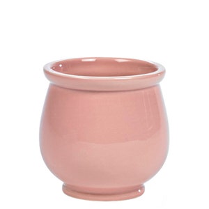 May include: A pale pink ceramic planter with a rounded body and a slightly flared rim.